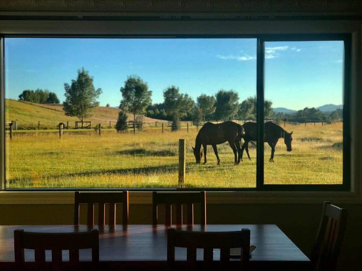 Kepler Oaks Chalet Te Anau Bagian luar foto