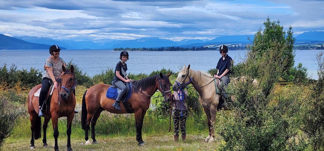 Kepler Oaks Chalet Te Anau Bagian luar foto