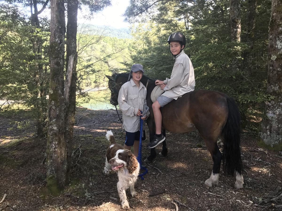 Kepler Oaks Chalet Te Anau Bagian luar foto