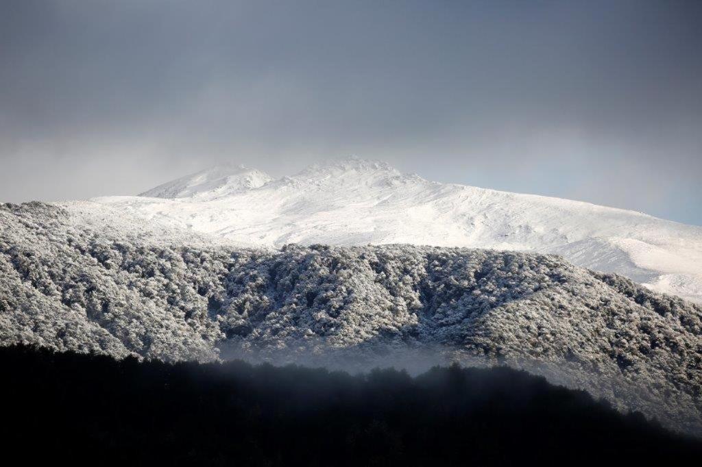 Kepler Oaks Chalet Te Anau Bagian luar foto